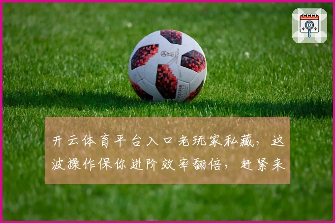 开云体育平台入口老玩家私藏，这波操作保你进阶效率翻倍，赶紧来看看！