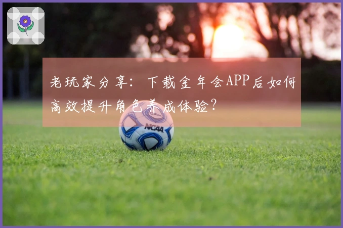老玩家分享：下载金年会APP后如何高效提升角色养成体验？