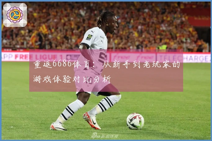 重返6686体育：从新手到老玩家的游戏体验对比分析